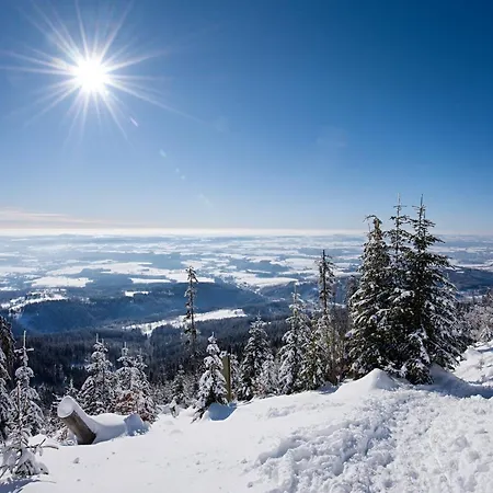 Superior S Terasou 2 - Ski&bike, Daire Janske Lazne
